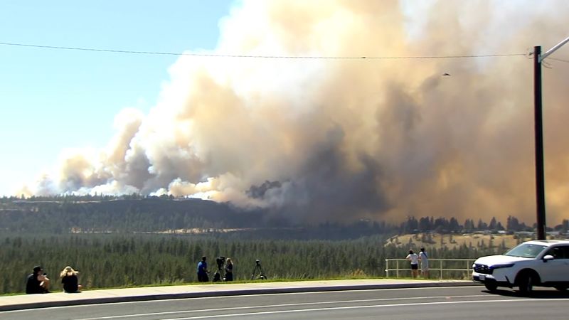 wildfires